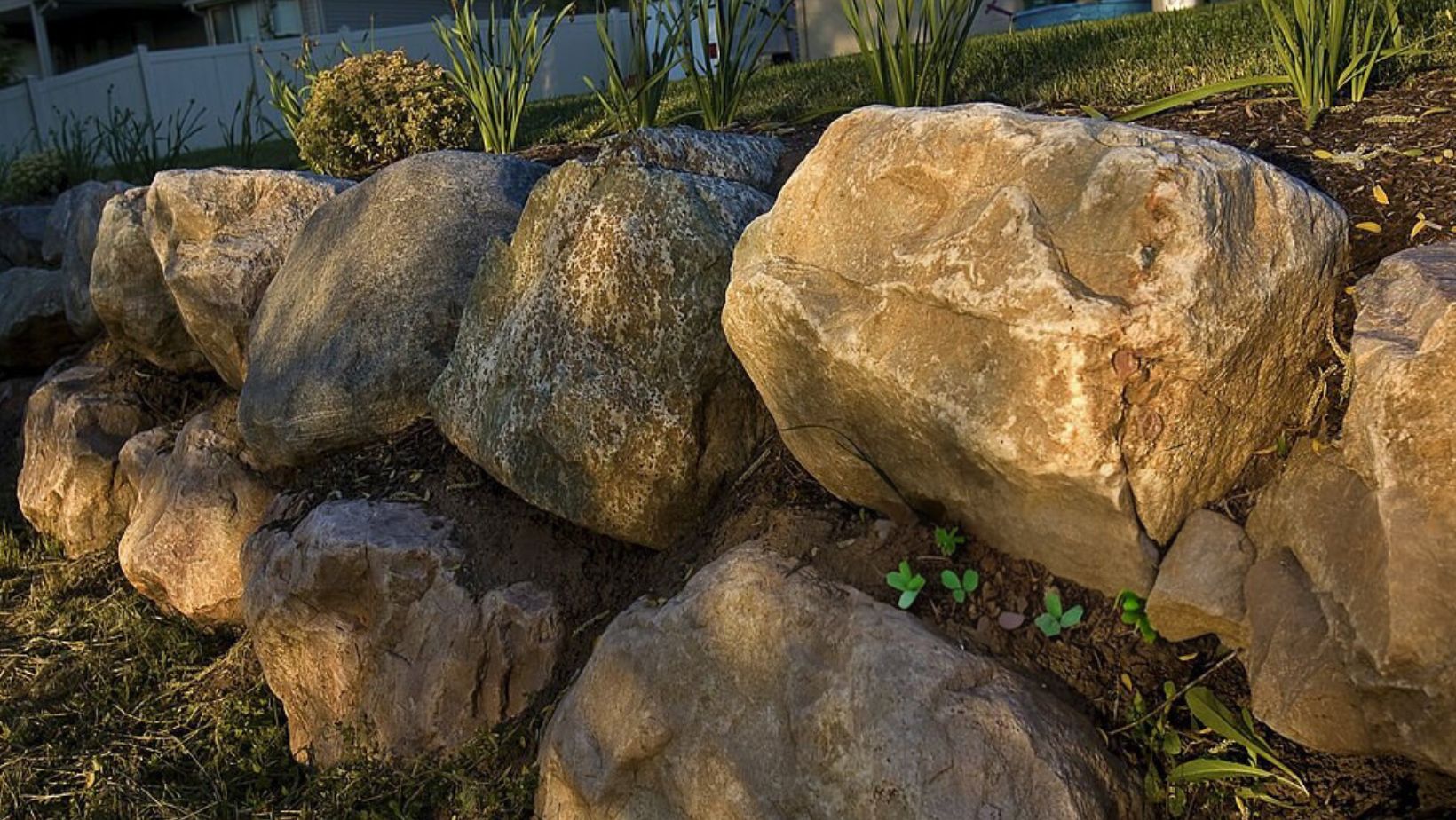 Rock wall landscape